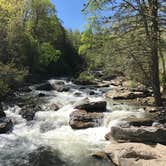 Review photo of Babcock State Park Campground by Dave V., September 1, 2017