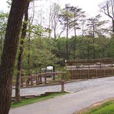 Review photo of Amicalola Falls State Park Camping by Suzie F., May 6, 2019