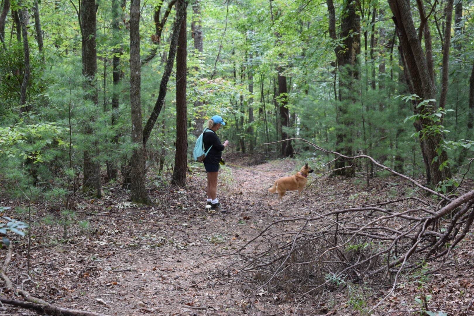 Suzie F.'s photo of camping with pets at Trackrock Campground & Cabins near Helen, GA