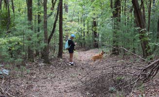 Suzie F.'s photo of camping with pets at Trackrock Campground & Cabins in Georgia
