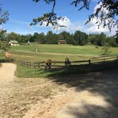 Review photo of Trackrock Campground & Cabins by Suzie F., May 4, 2019