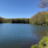 Review photo of Babcock State Park Campground by Dave V., September 1, 2017