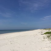 Review photo of Dr. Julian G. Bruce St. George Island State Park Campground by Suzie F., February 18, 2020