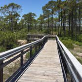 Review photo of Dr. Julian G. Bruce St. George Island State Park Campground by Suzie F., February 18, 2020