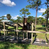 Review photo of Pine Grove Campground — Jonathan Dickinson State Park by Suzie F., May 4, 2019