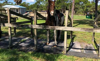 Suzie F.'s photo of camping with a horse at Pine Grove Campground — Jonathan Dickinson State Park near Wellington, FL