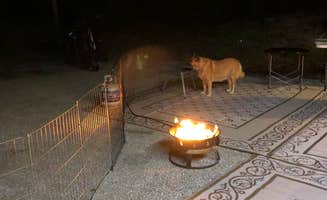 Suzie F.'s photo of camping with pets at Pine Grove Campground — Jonathan Dickinson State Park near Delray Beach, FL