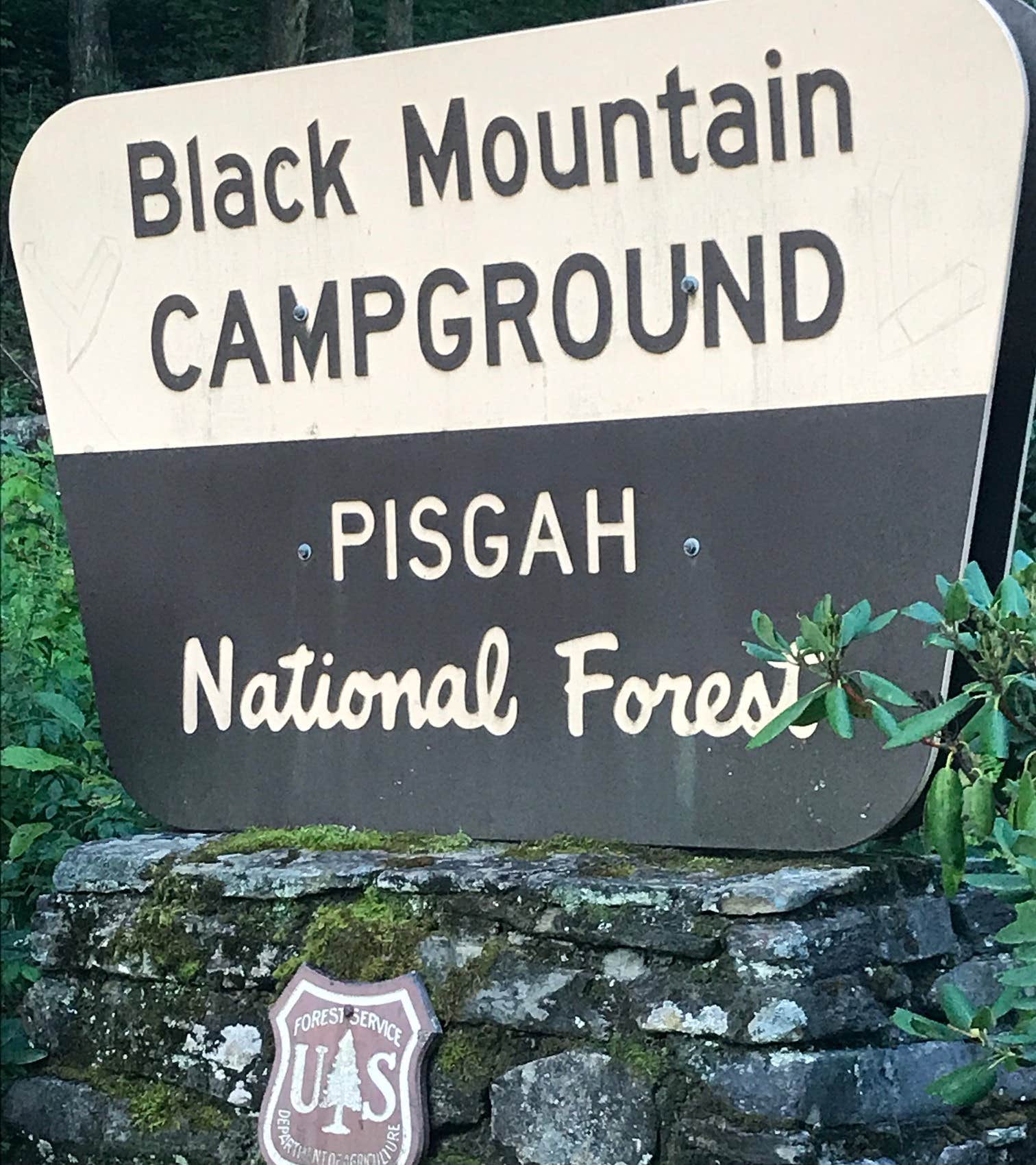 Camper submitted image from Black Mountain Campground - CLOSED INDEFINITELY - 5