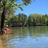 Review photo of Bolding Mill by Mike K., February 18, 2020