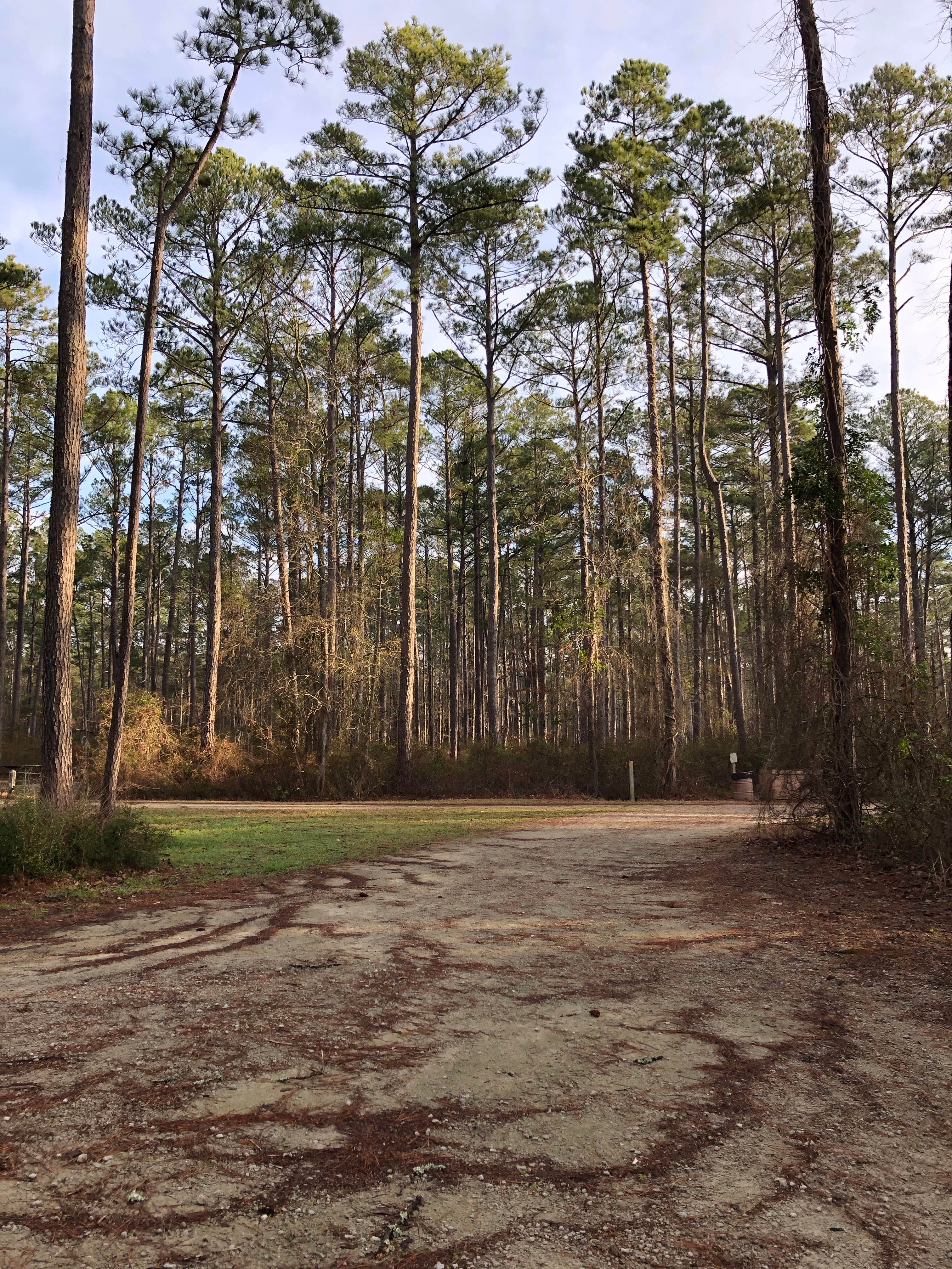 Camper submitted image from Oyster Point Campground - 3