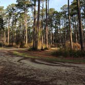 Review photo of Oyster Point Campground by Steven  G., February 18, 2020