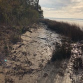 Review photo of Oyster Point Campground by Steven  G., February 18, 2020