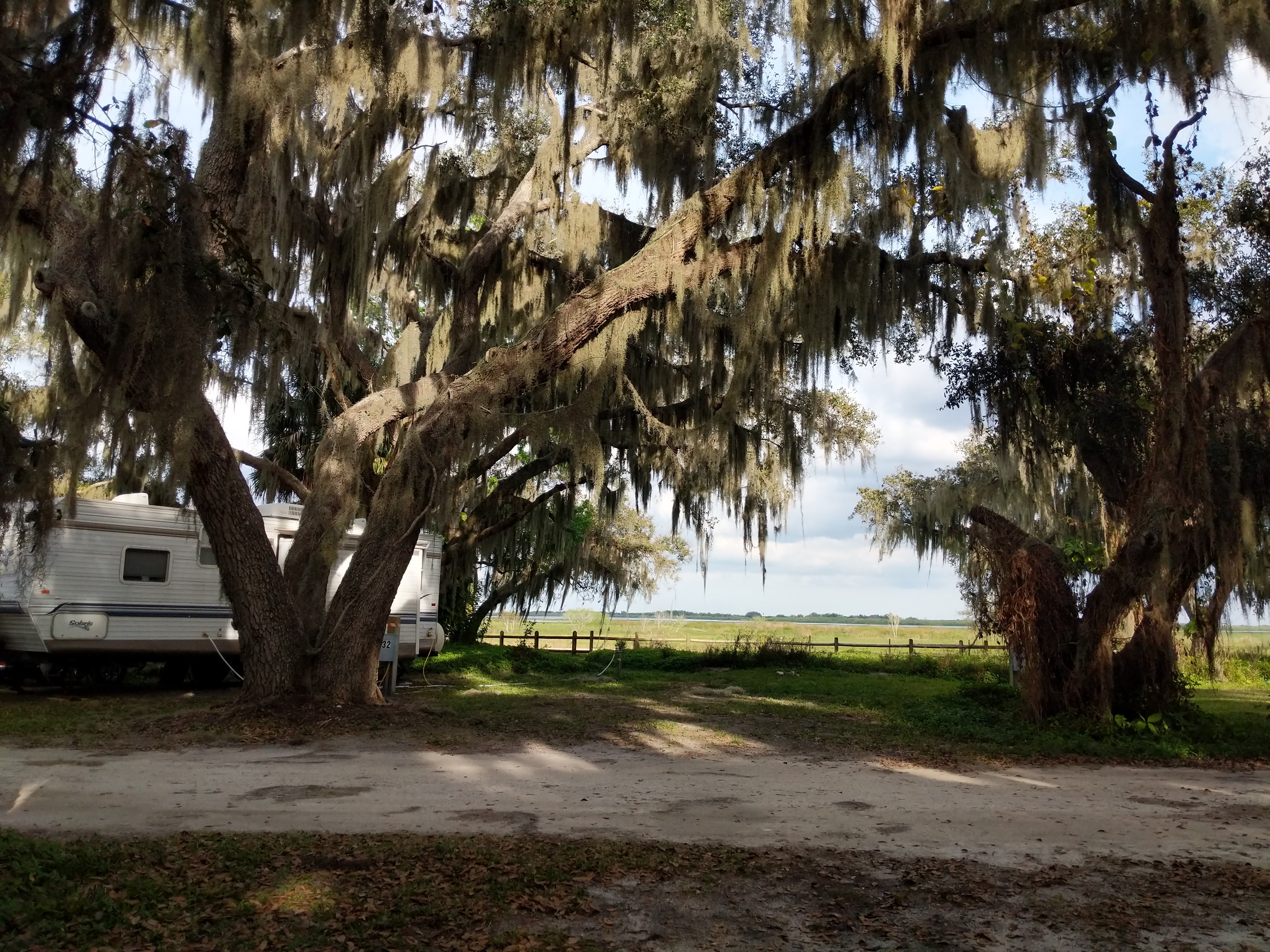 Camper submitted image from Coleman Landing at Shady Oaks - 2