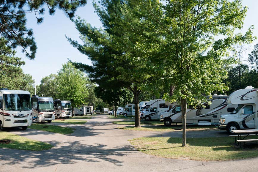 Camper submitted image from Bonanza Campground - 4