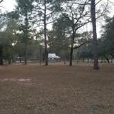 Review photo of Reed Bingham State Park Campground by Chris H., February 19, 2020