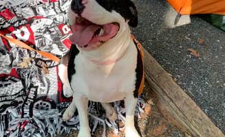 Lee J.'s photo at McDowell Nature Preserve near Denver, NC