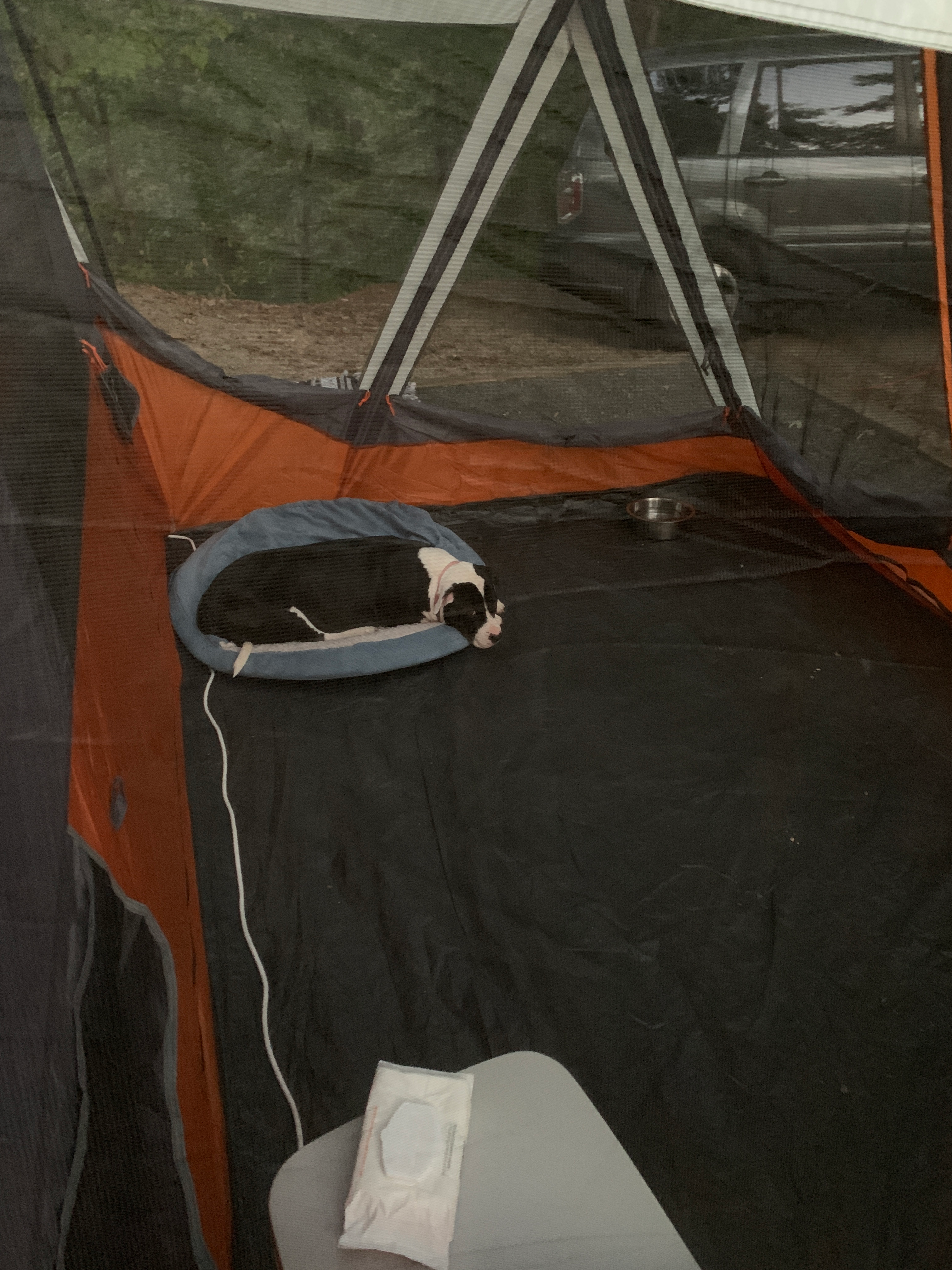 Camper-submitted photo at McDowell Nature Preserve near Indian Trail, NC