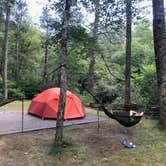 Review photo of Black Mountain Campground by Dave V., September 1, 2017
