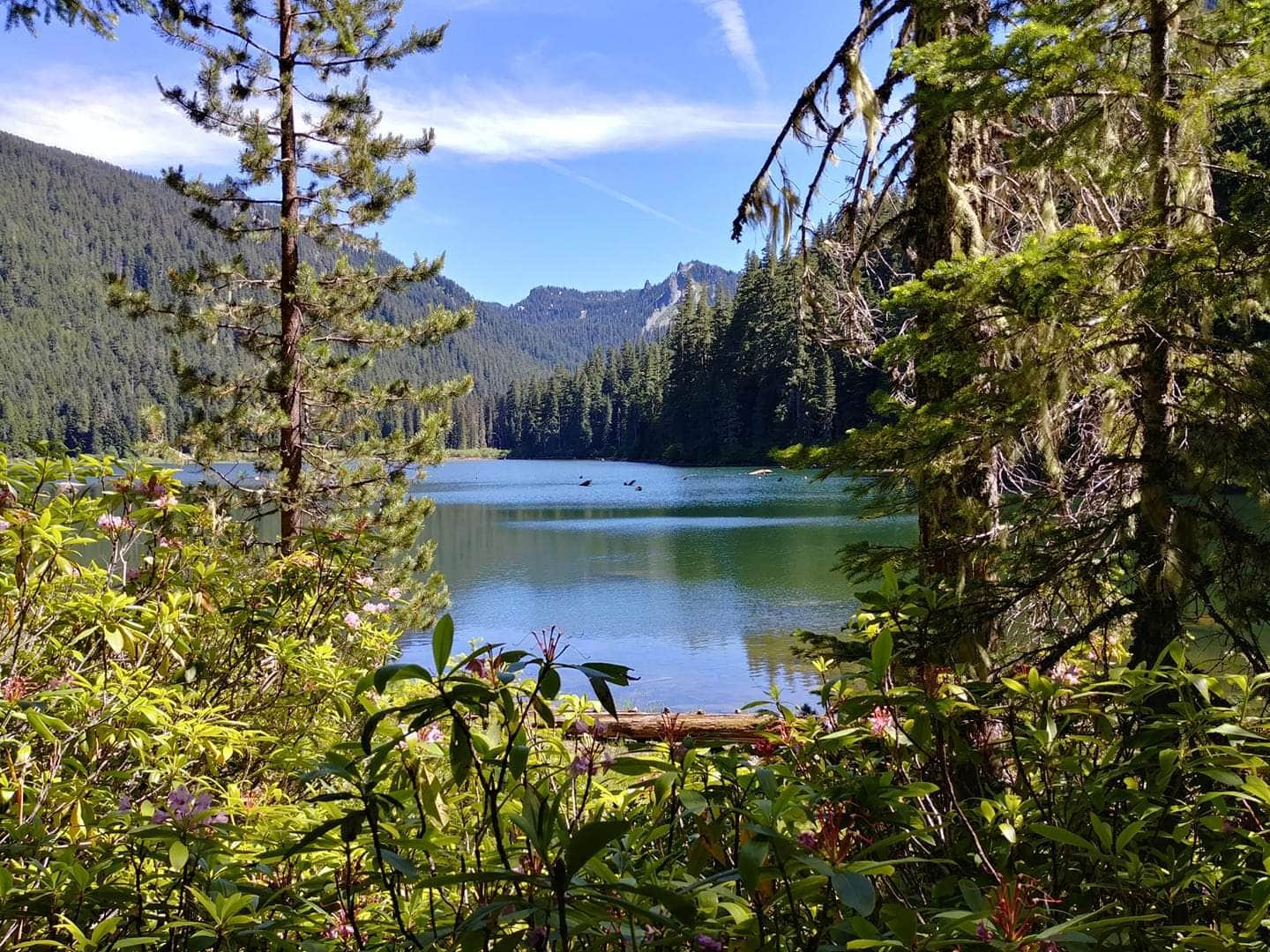 Camper-submitted photo at Pamelia Lake near Detroit, OR