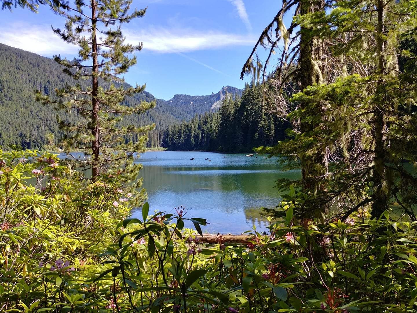 Camper submitted image from Pamelia Lake - 3
