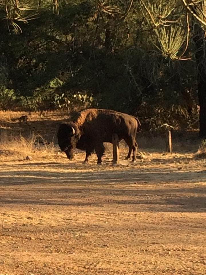 Camper-submitted photo at Black Jack Campground near Sunset Beach, CA