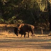 Review photo of Black Jack Campground by Mandy E., August 31, 2018