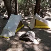 Review photo of Hoegees Trail Camp Campground by Mandy E., February 19, 2020