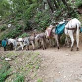 Review photo of Hoegees Trail Camp Campground by Mandy E., February 19, 2020