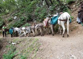 Hoegees Trail Camp Campground