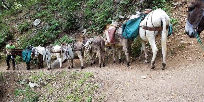 Camper submitted image from Hoegees Trail Camp Campground