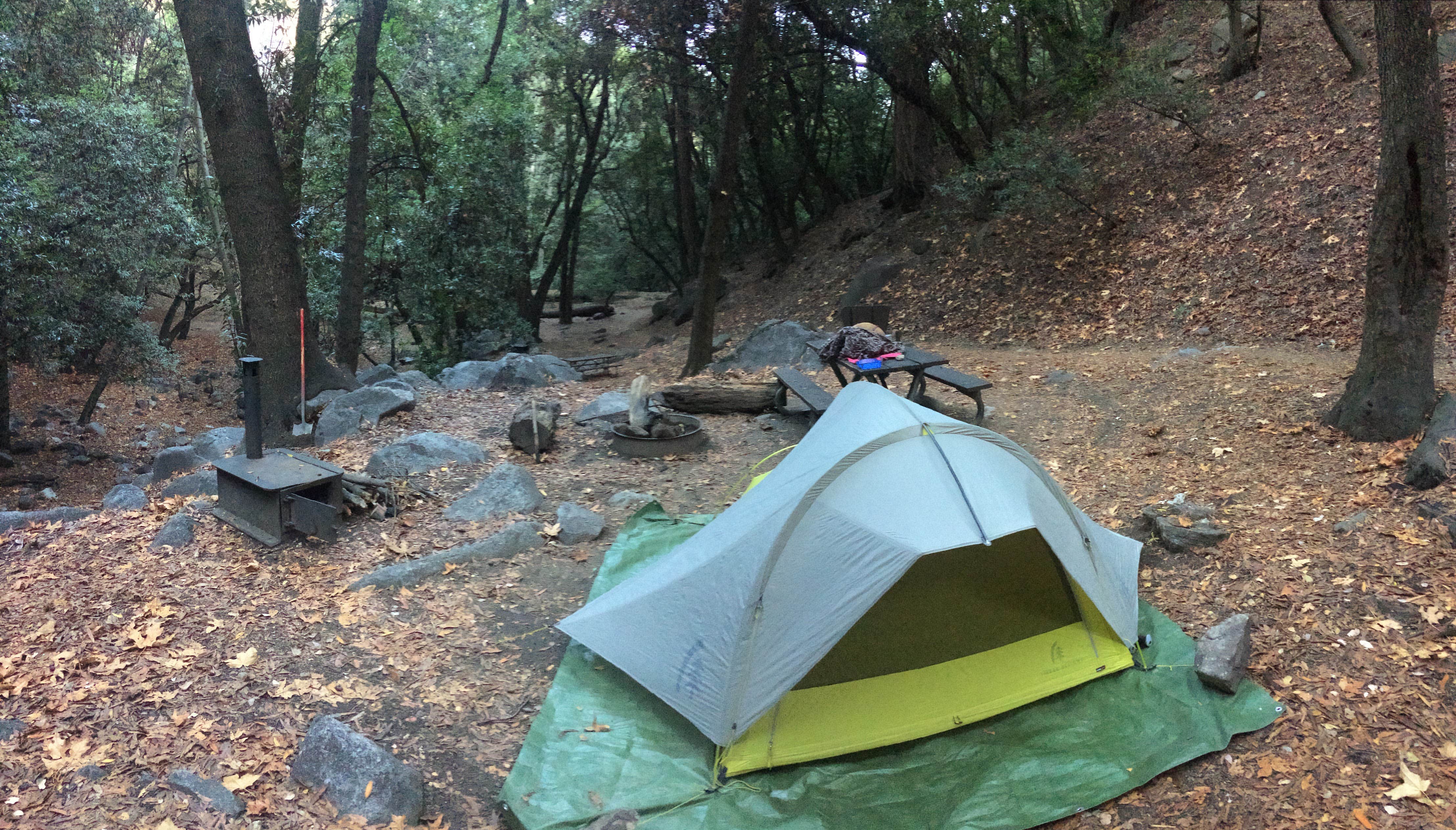 Mandy E.'s photo of tent camping at Spruce Grove Campground near Black Butte Lake
