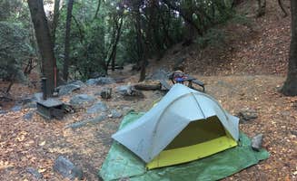 Mandy E.'s photo of tent camping at Spruce Grove Campground near Paskenta, CA