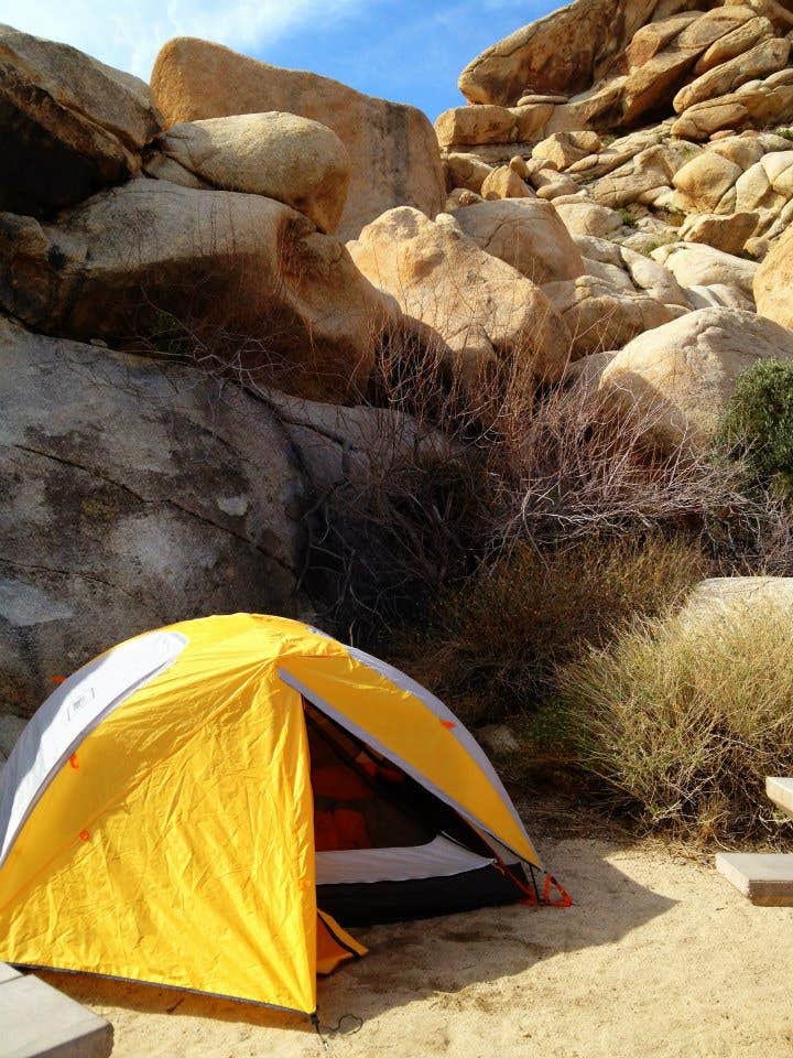 Hayley K.'s photo at White Tank Campground — Joshua Tree National Park near Joshua Tree National Park