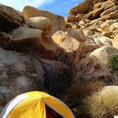 Review photo of White Tank Campground — Joshua Tree National Park by Hayley K., June 7, 2019