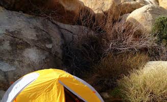 Hayley K.'s photo at White Tank Campground — Joshua Tree National Park near Joshua Tree National Park