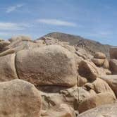 Review photo of White Tank Campground — Joshua Tree National Park by Hayley K., June 7, 2019