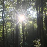 Review photo of Black Mountain Campground - CLOSED INDEFINITELY by Dave V., September 1, 2017