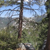 Review photo of Idyllwild Campground — Mount San Jacinto State Park by Hayley K., February 20, 2020