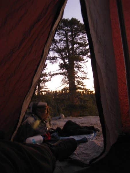 Hayley K.'s photo of a dispersed camping area at JO Pass near Wishon, CA