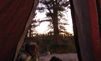 Hayley K.'s photo of a dispersed camping area at JO Pass near Fresno, CA