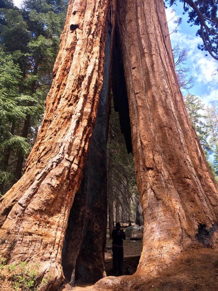 Camper-submitted photo at Johnsondale Dispersed Camping near Pixley, CA