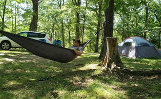 Elizabeth W.'s photo at Lake of the Ozarks State Park Campground in Missouri