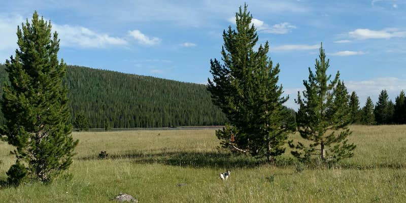 Camper submitted image from Windy Park Camping Area