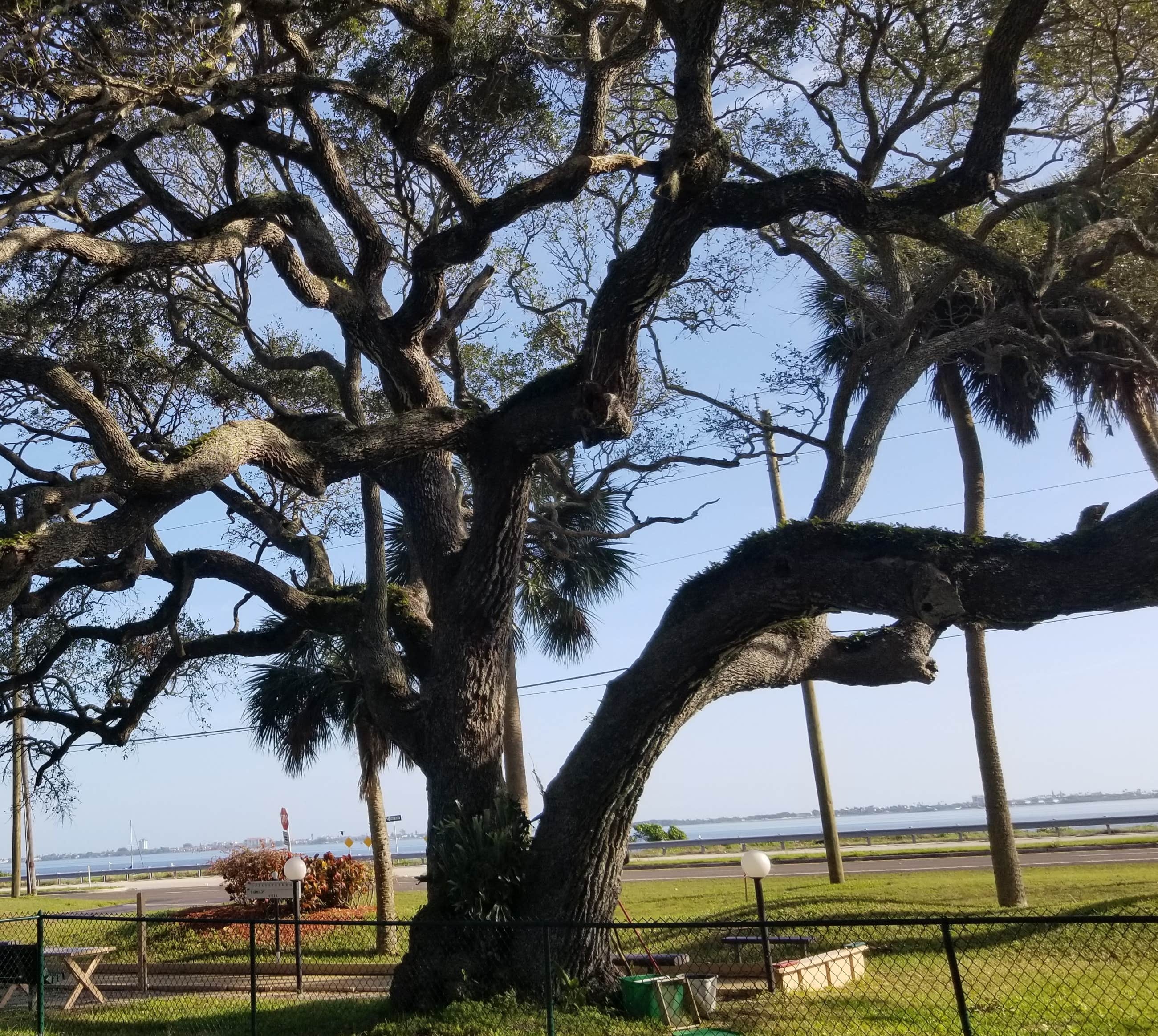 Camper-submitted photo at Camelot RV Park near Grant, FL