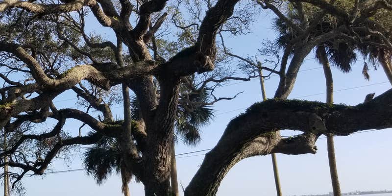 Camper submitted image from Camelot RV Park