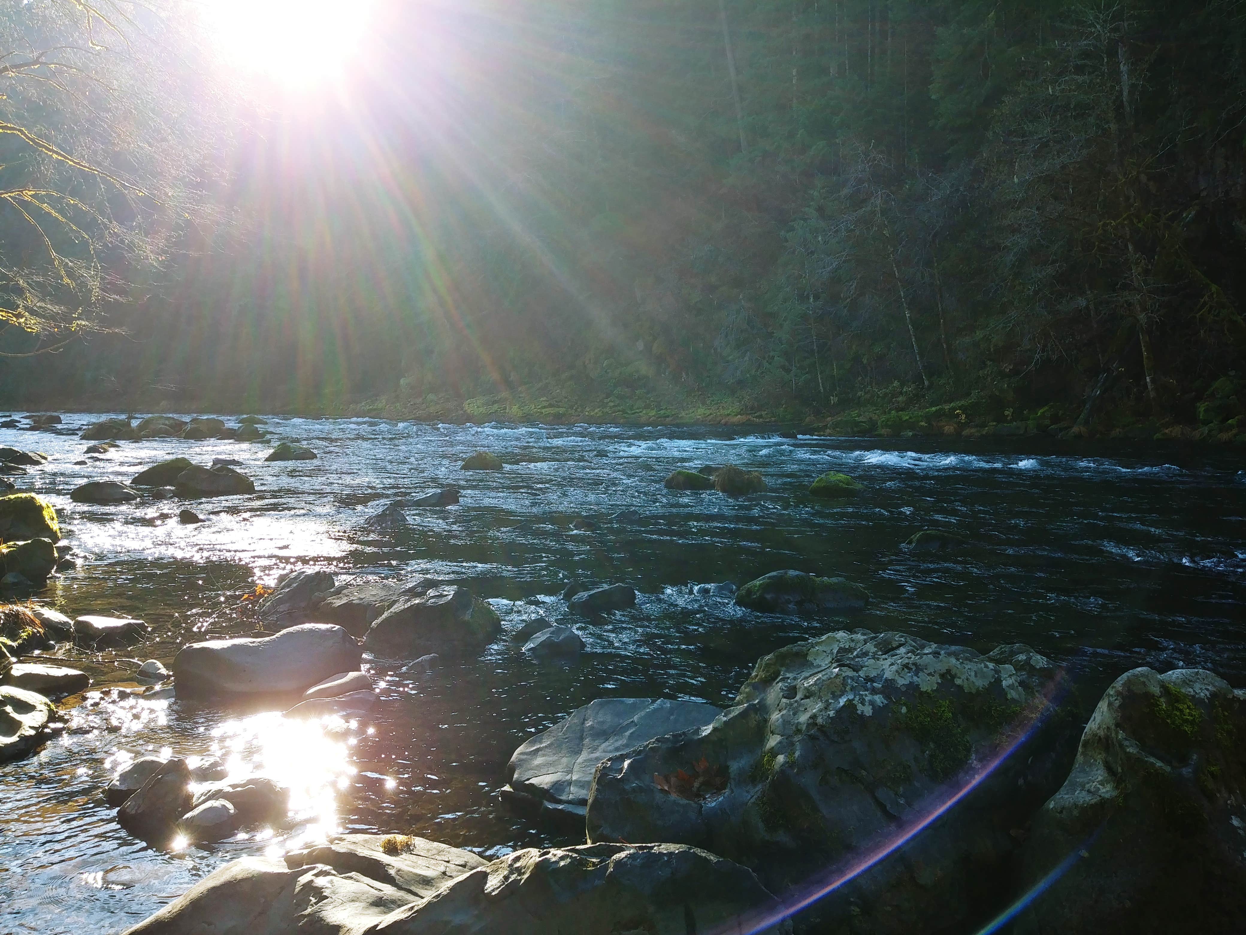 Camper-submitted photo at Island Campground near Powers, OR