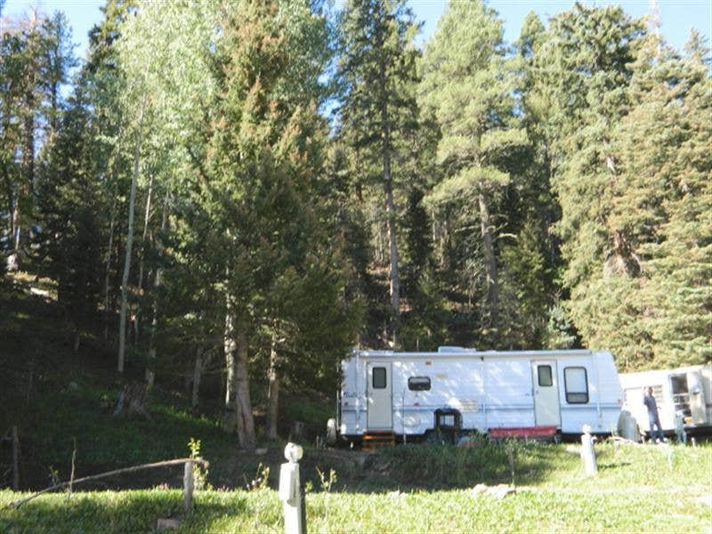 Camper submitted image from Aspen Acres Campground - 3