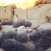 Review photo of Jumbo Rocks Campground — Joshua Tree National Park by Rae M., February 22, 2020