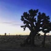 Review photo of Jumbo Rocks Campground — Joshua Tree National Park by Rae M., February 22, 2020