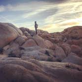 Review photo of Jumbo Rocks Campground — Joshua Tree National Park by Rae M., February 22, 2020